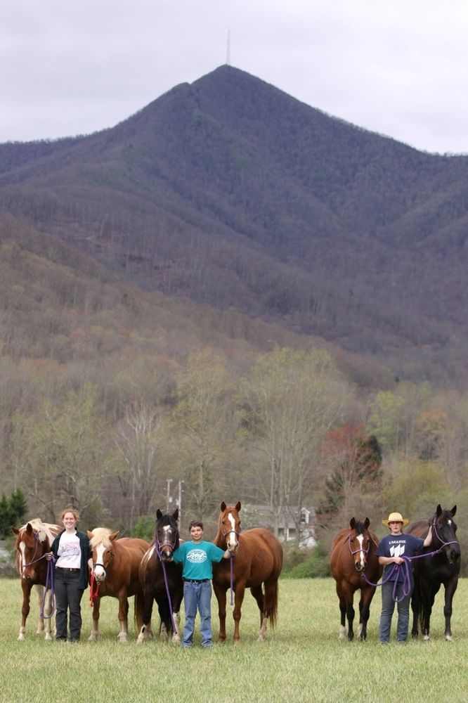 Pisgah View Ranch Hotel Candler Екстериор снимка